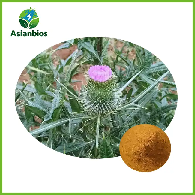 Milk thistle extract powder Milk thistle extract powder